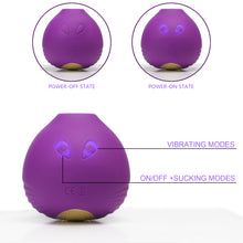 Load image into Gallery viewer, Whale - Waterproof Sucking Vibrator