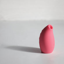 Load image into Gallery viewer, Gozla - Gift box Clit Sucking Vibrator